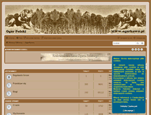 Tablet Screenshot of ogarkowo.pl